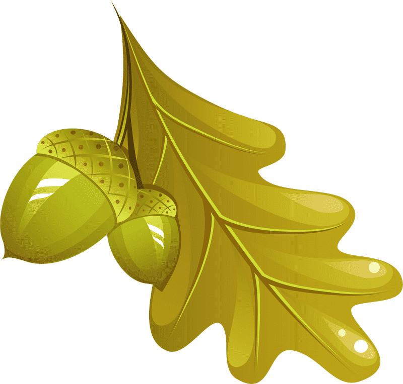 Golden Acorn and Leaf Embrace PNG