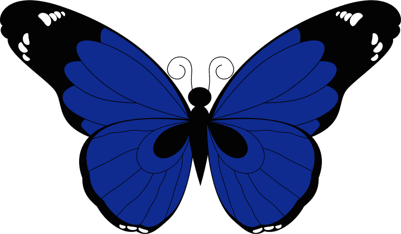 Vibrant Blue Insect with Elegant Wings PNG