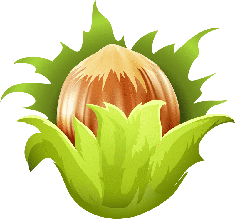 Delicious Hazelnut Delight Among Lush Green PNG