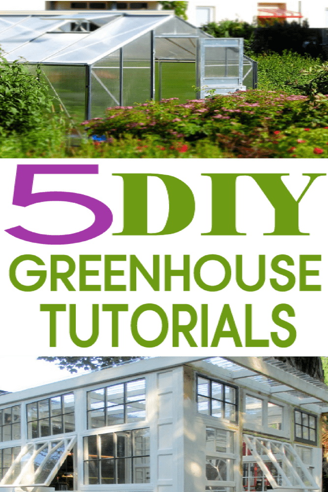 Charming Garden Gnome Retreat DIY Ideas PNG