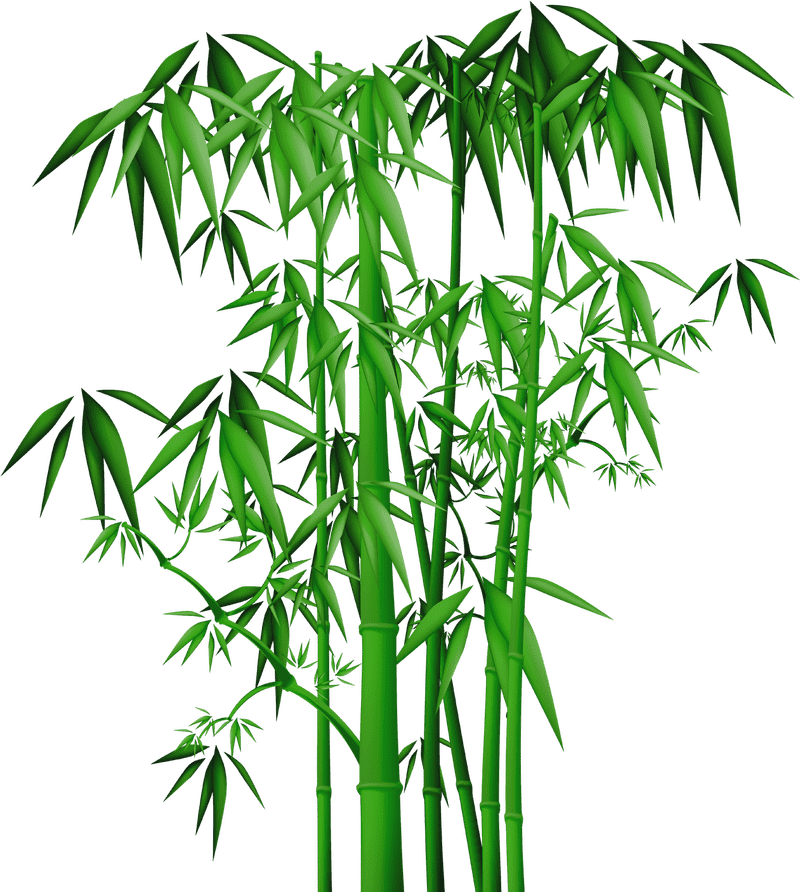 Whispers of the Bamboo Forest PNG