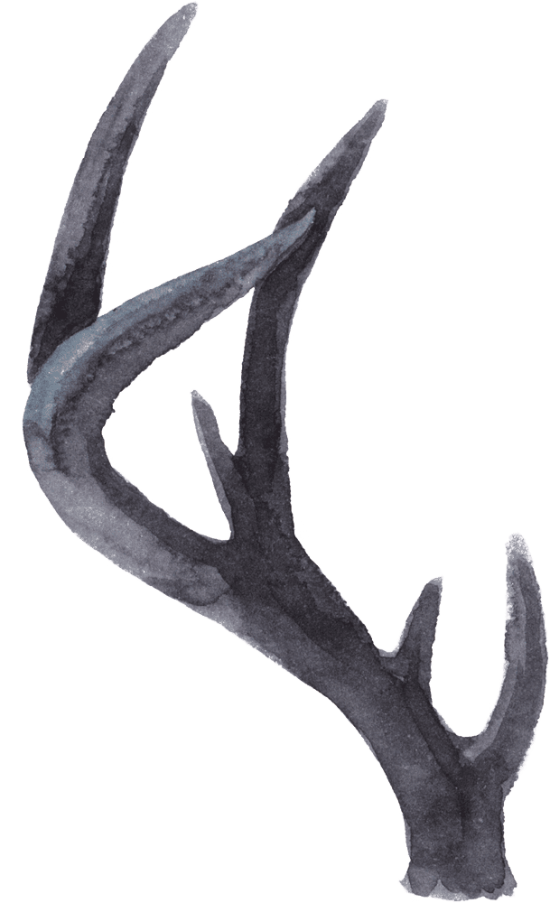 Mystical Antler Notebook Design PNG