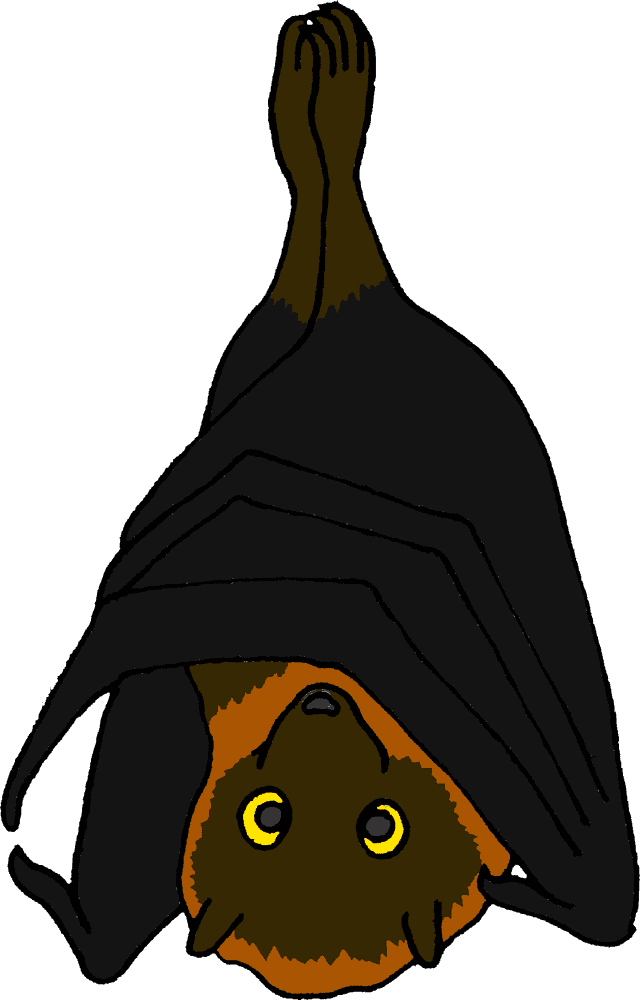 Whimsical Baseball Bat Bat PNG