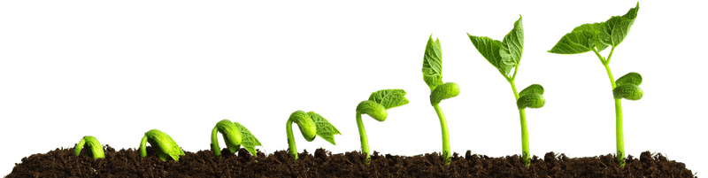 Nurturing Growth in the Nursery Room PNG