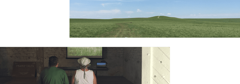 Exploring the Vastness of Green Grasslands PNG