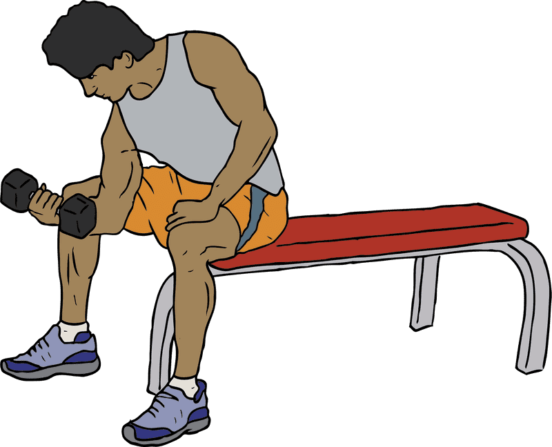 Gym Strength Training Building Muscle with Dumbbells PNG
