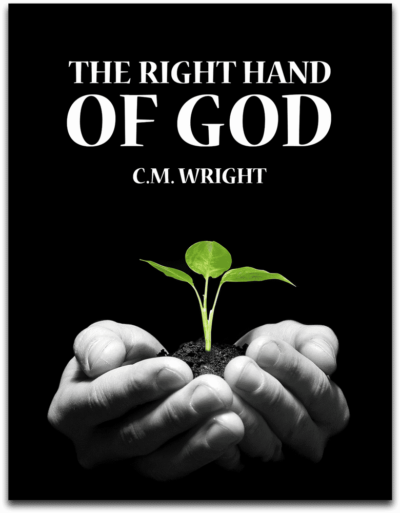 Whispers of Wisdom Bookstore PNG