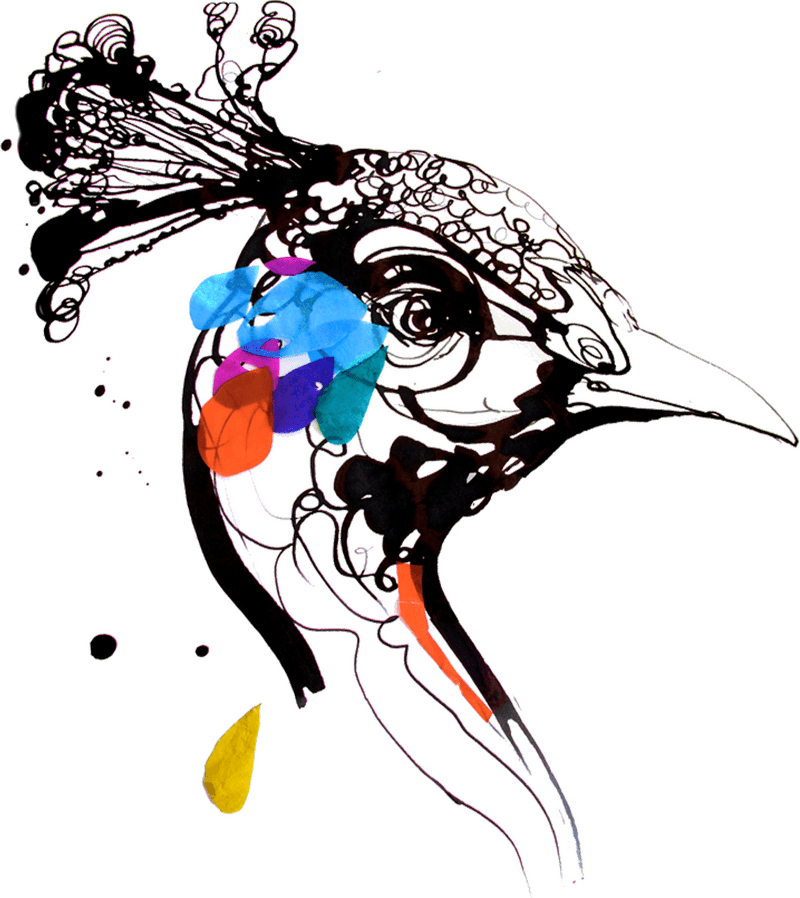 Colorful Harmony of the Peacock's Gaze PNG