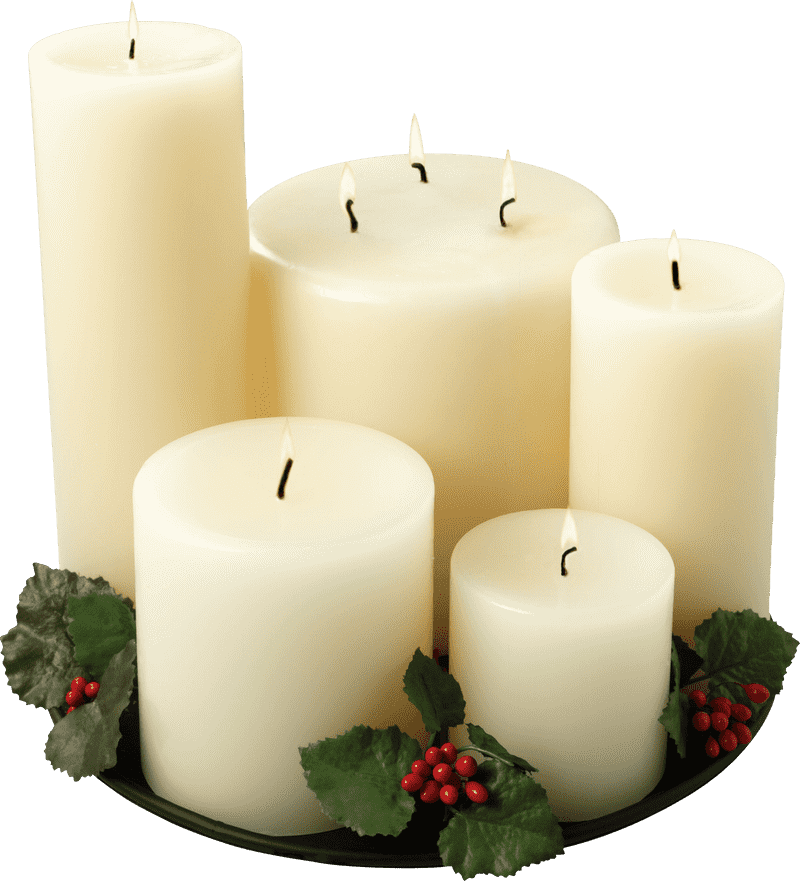 Elegant Candle Holder with Natural Accents PNG