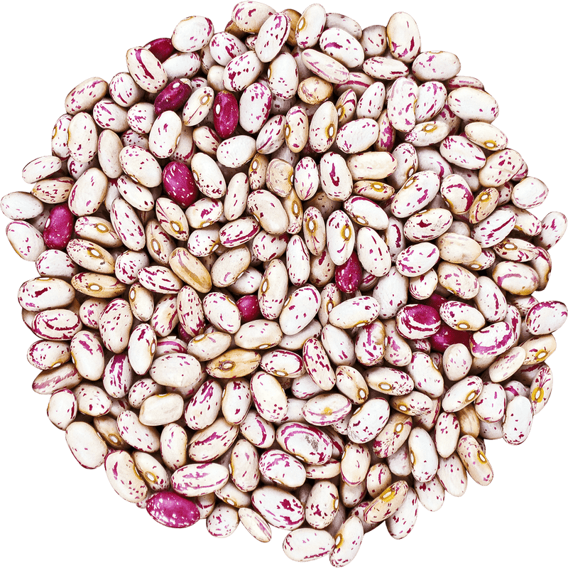 Cranberry Speckled Bean Medley PNG