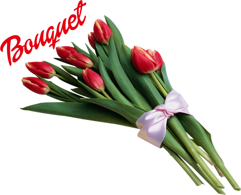Elegant Flower Bouquet of Red Tulips PNG