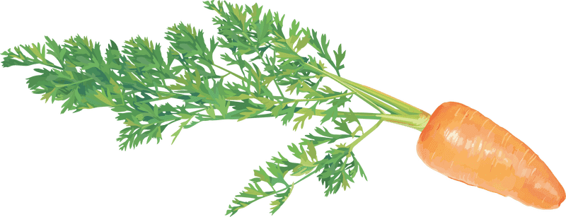 Freshly Picked Carrot Cake Delight PNG