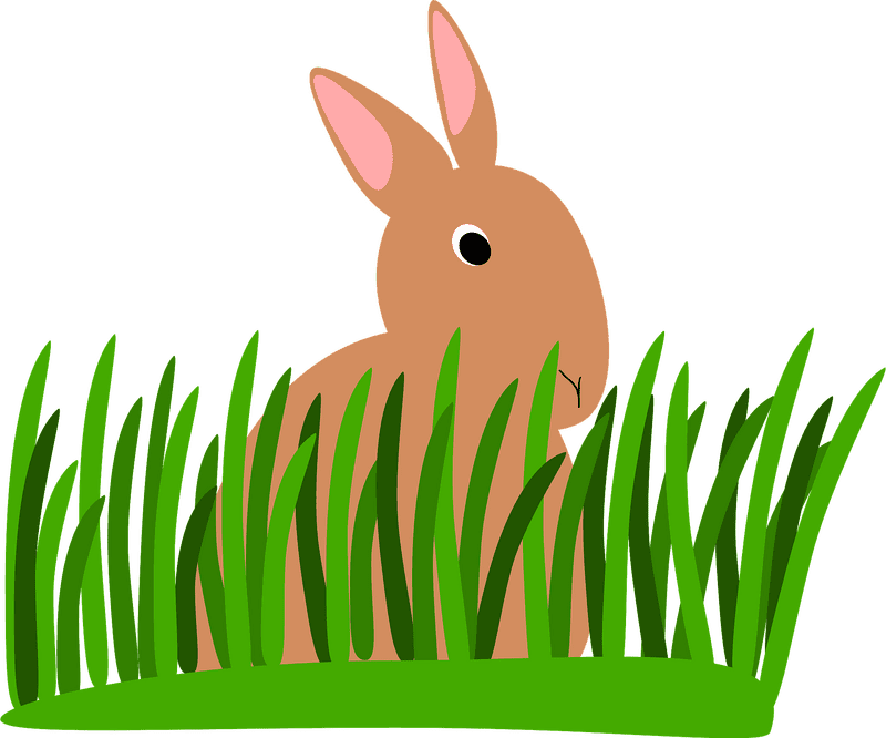 Curious Bunny Among the Lush Grass PNG