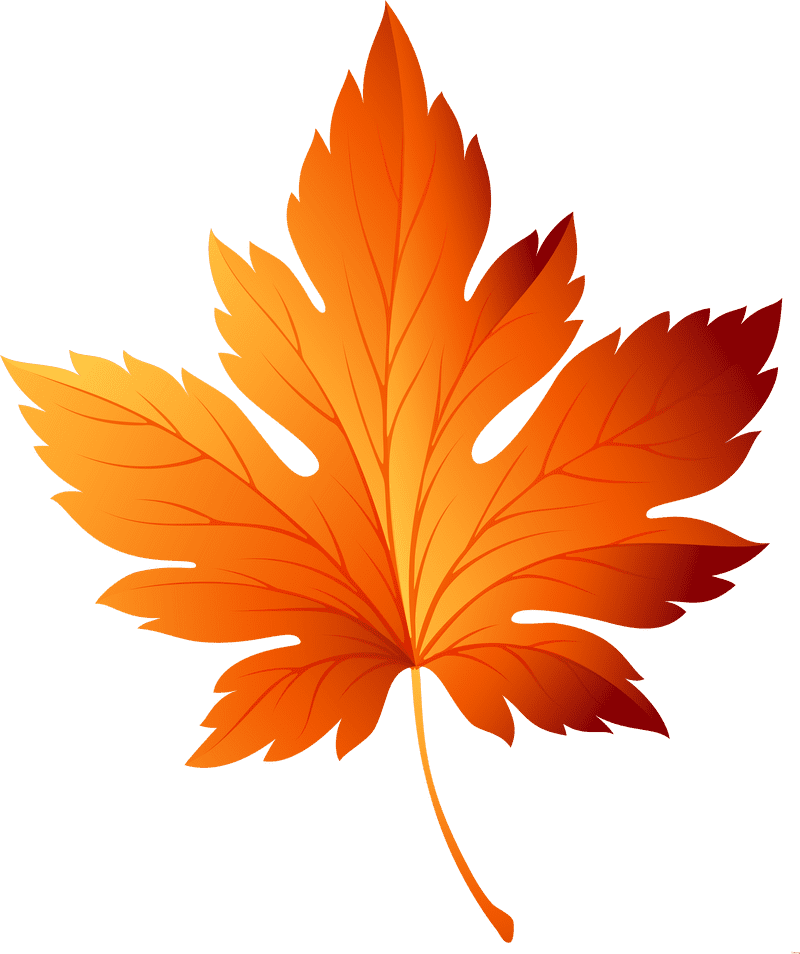 Autumn's Golden Leaf Elegance PNG