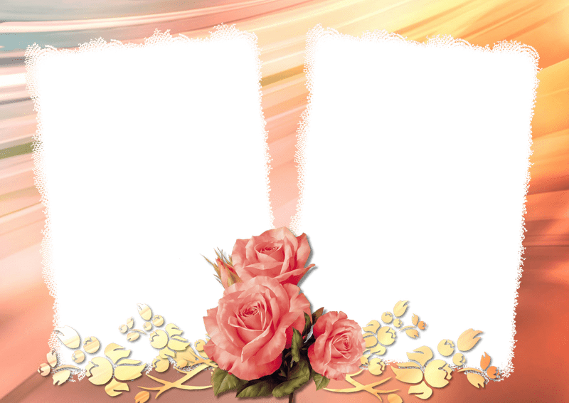 Iris Flower Elegance in Bloom PNG