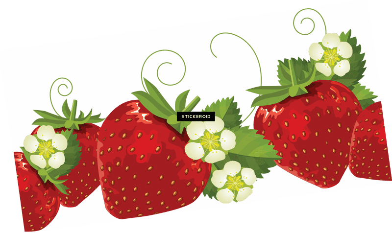 Delightful Strawberry Fruit Collection with Blossoms PNG