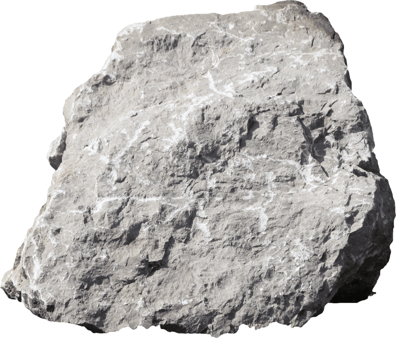 Raw Edge The Spirit of Punk Rock PNG