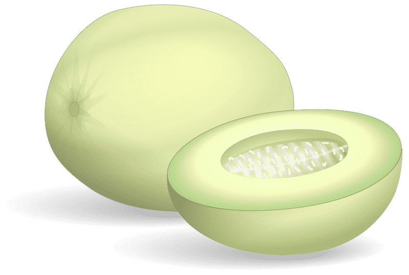 Delightful Melon Slice for Refreshing Treats PNG
