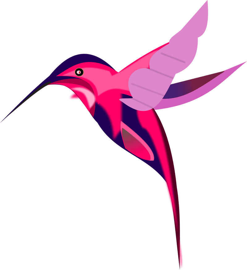 Vibrant Fantasy Bird in Flight PNG