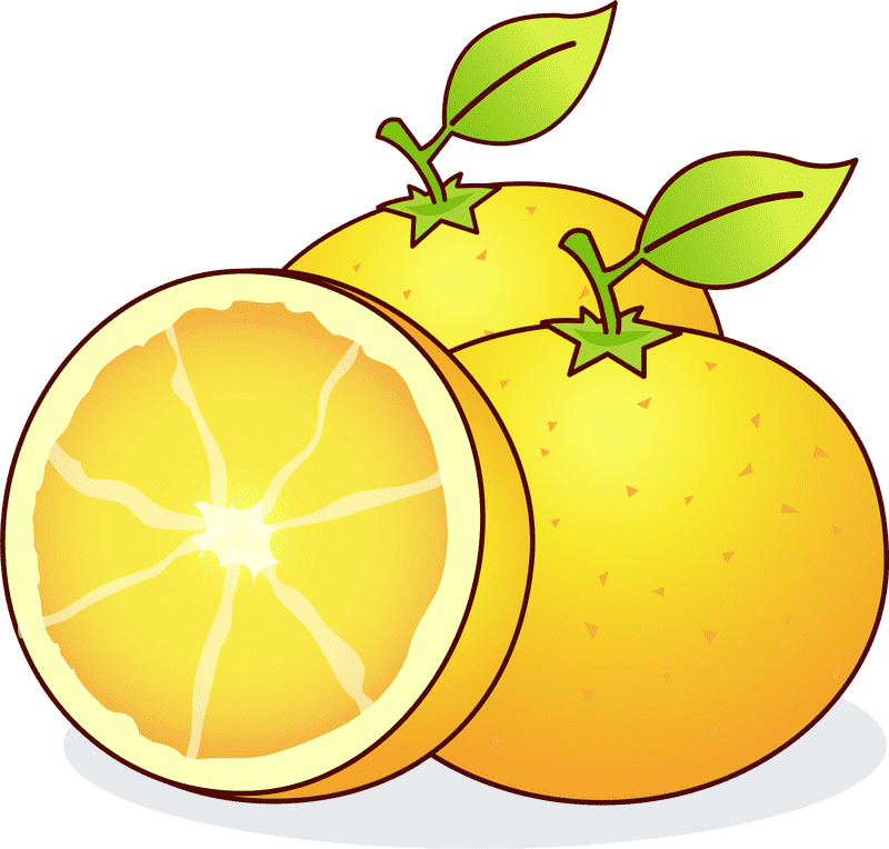 Fresh and Juicy Orange Peel Delight PNG