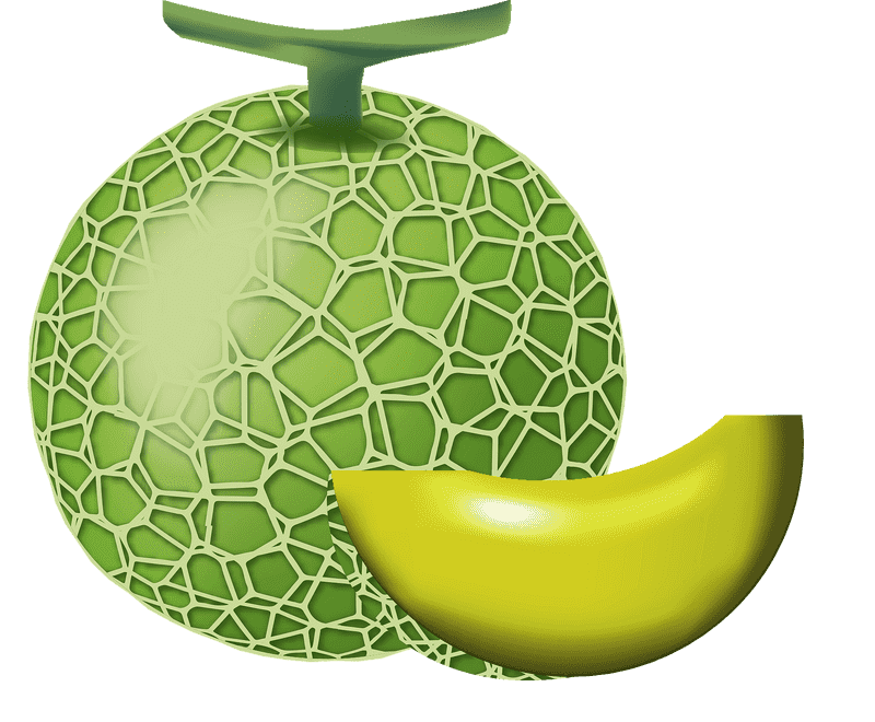 Delicious Melon Slice Delight PNG