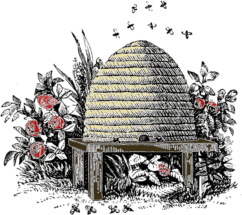 Garden Hive Restaurant A Buzz of Flavor PNG