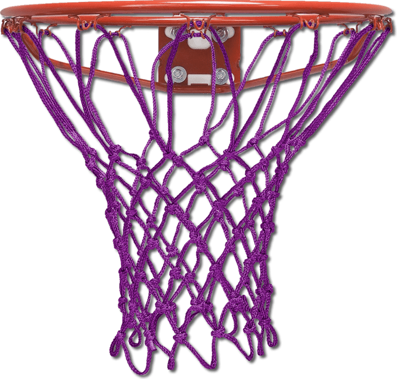 Colorful Insect Net Basketball Hoop Design PNG