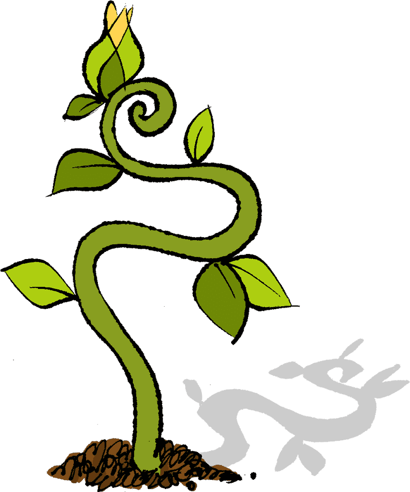 Greenhouse Growth Nature's Spiraling Journey PNG