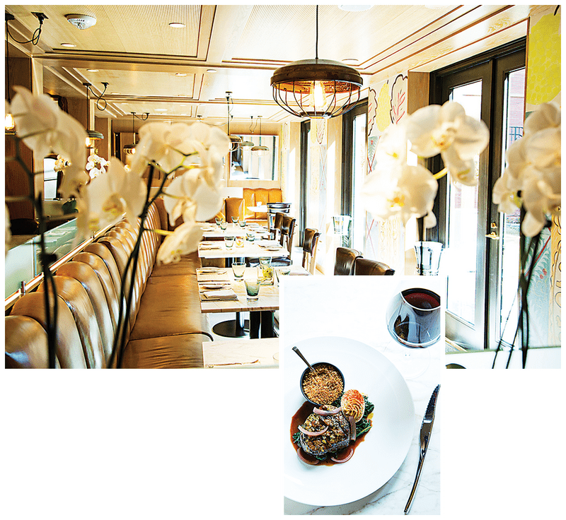 Elegant Dining Restaurant Experience PNG