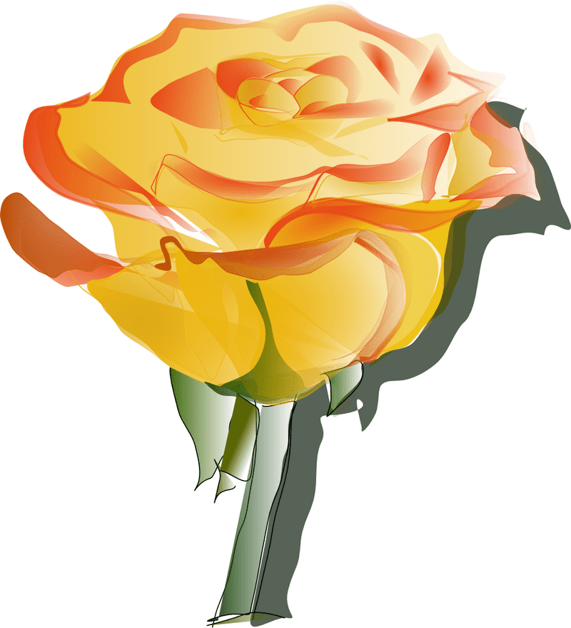 Golden Sunrise Flower PNG