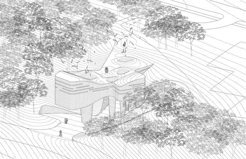 Vibrant Night Market Delights and Discoveries PNG