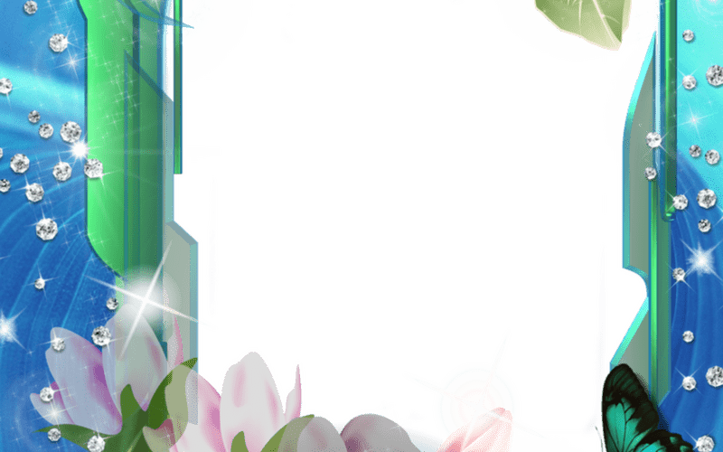 Elegant Floral Photo Frame with Sparkling Accents PNG