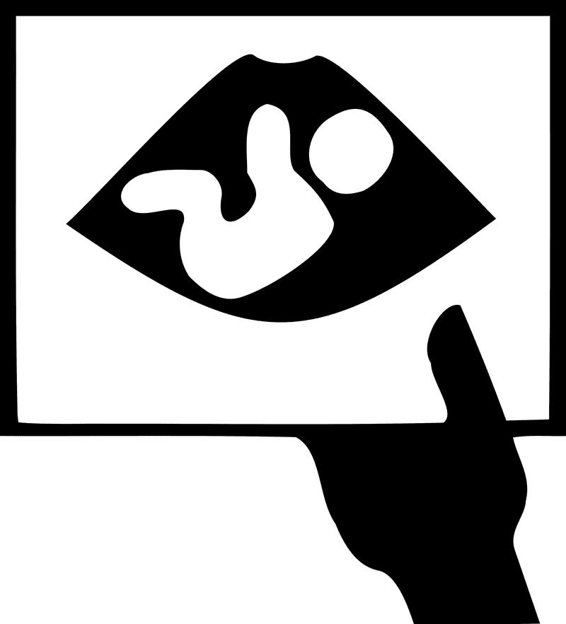 Essentials of Ultrasound Imaging Techniques PNG