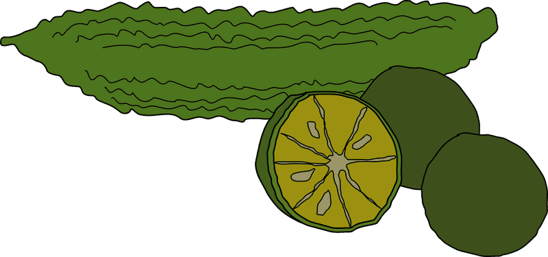 Fruit of Vibrant Green Delight PNG