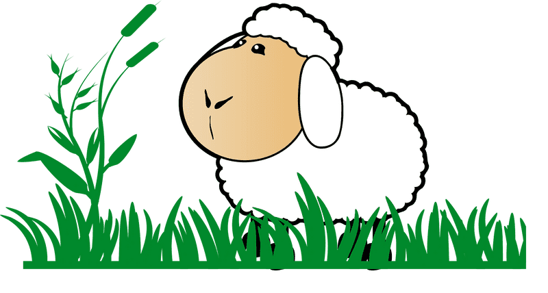 Curious Sheep in Lush Green Grass PNG