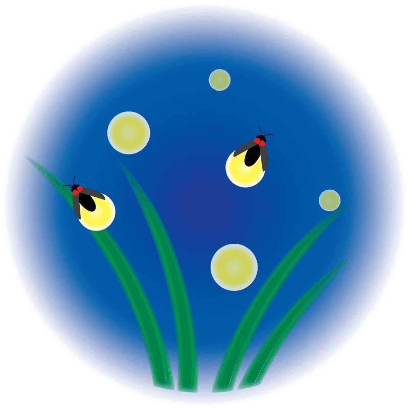 Enchanting Night Market A Glow in the Dark PNG