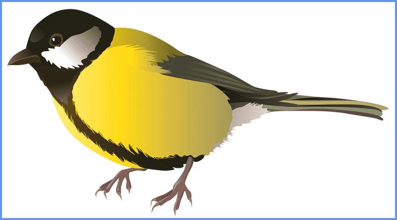Bright Yellow Bird of the Forest PNG