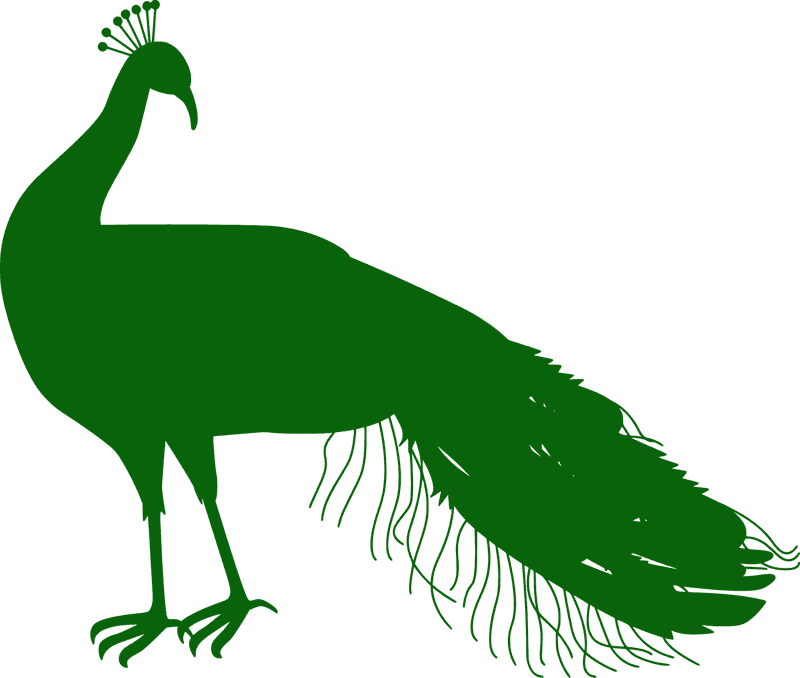 Elegant Peacock in Majestic Green Silhouette PNG