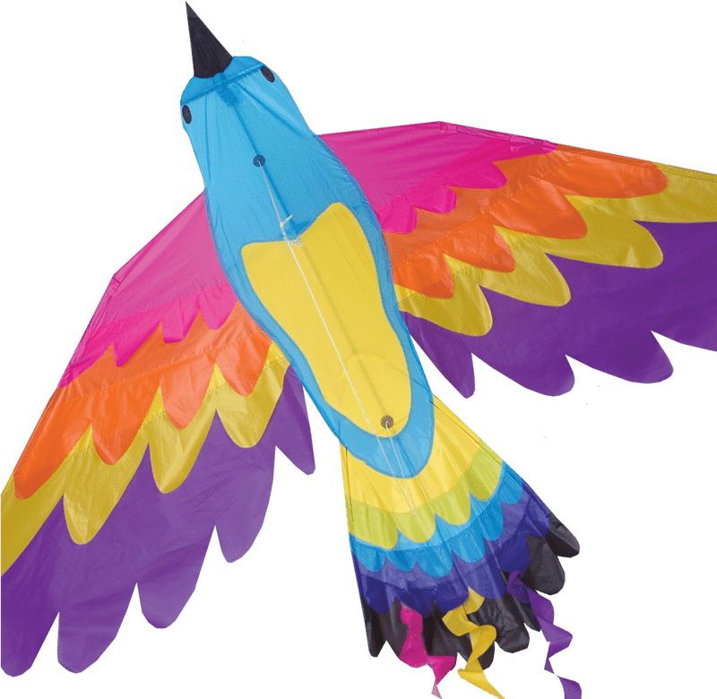 Vibrant Colors in Kite Flying Adventure PNG