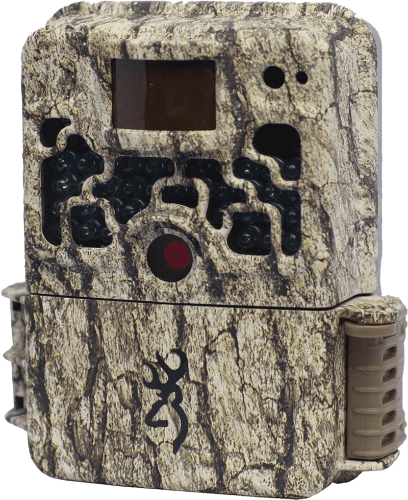 Wildlife Watcher on the Hiking Trail PNG