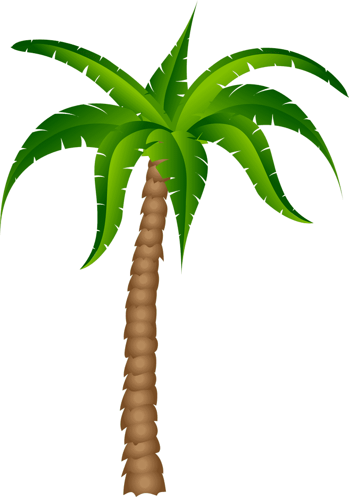 Elegant Palm Tree of Paradise PNG