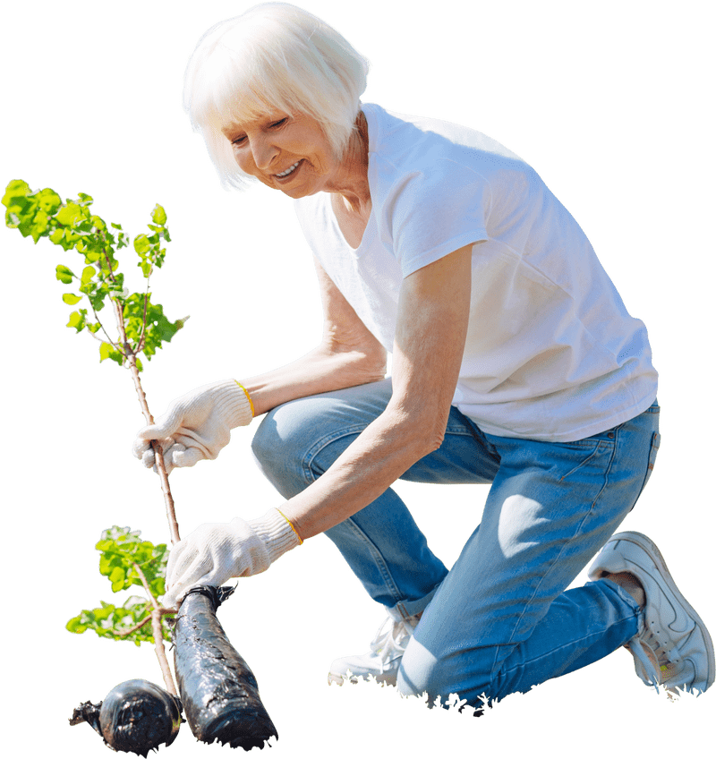 Thriving Vegetable Garden Cultivating Joy and Nourishment PNG