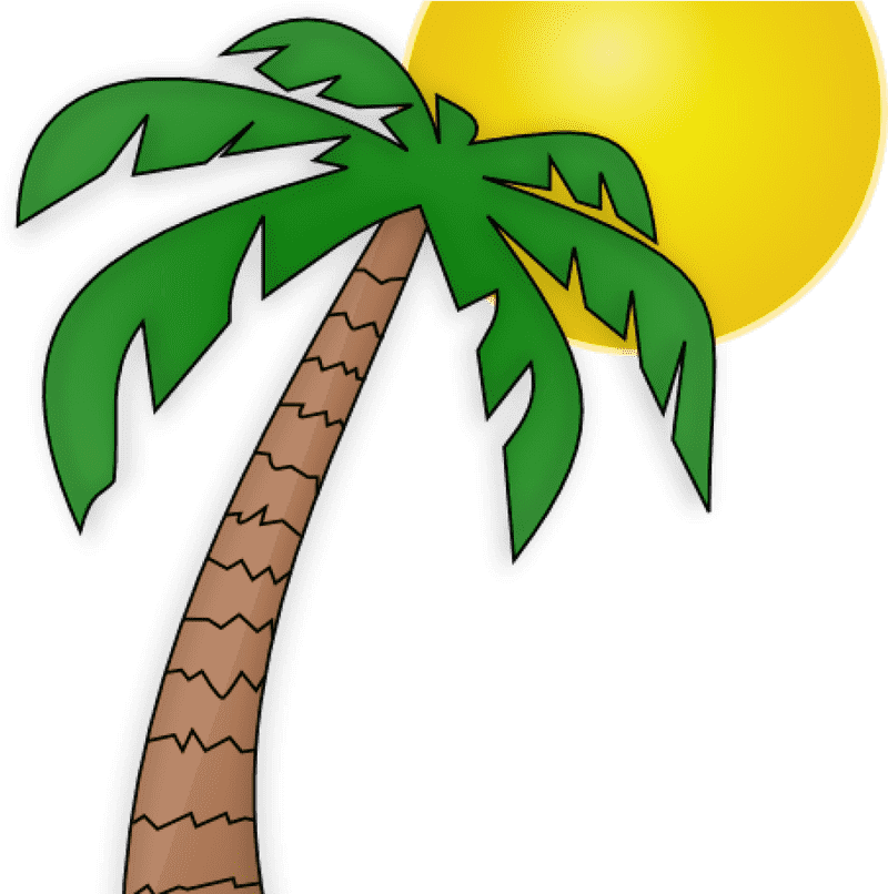 Sunny Vibes with Palm Tree Bliss PNG