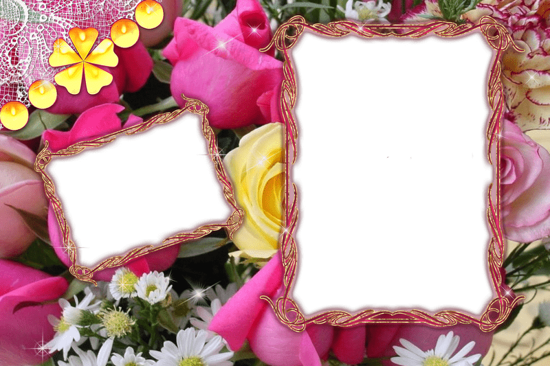 Elegant Floral Photo Frame Collection PNG