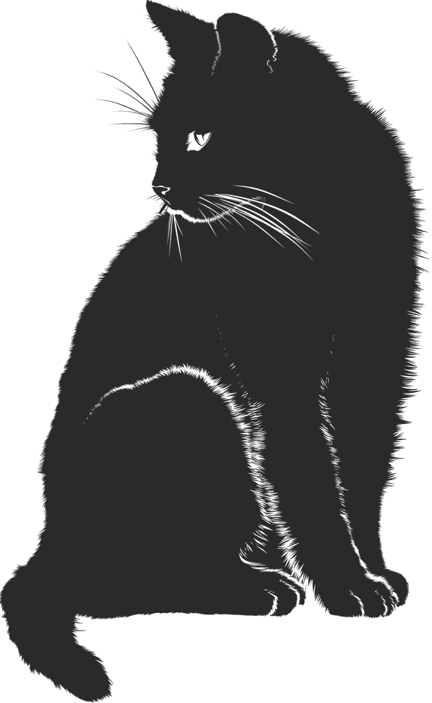Mystical Black Cat in Shadows PNG