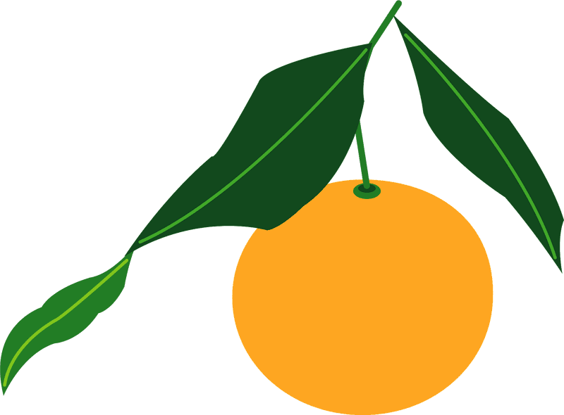 Vibrant Citrus Fruit with Lush Green Leaves PNG