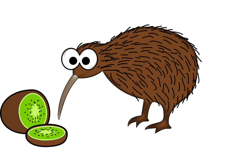 Kiwi Bird and the Mystery of the Green Fruit PNG