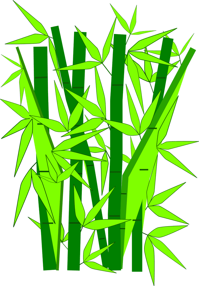 Lush Serenity of the Bamboo Forest PNG