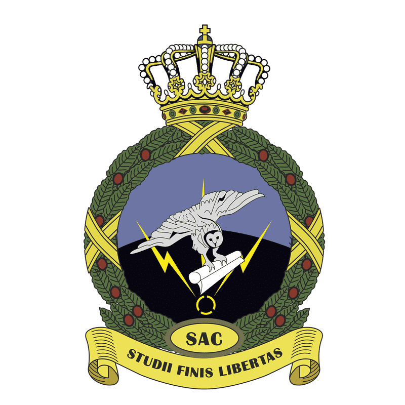 Air Force Emblem of Excellence and Freedom PNG