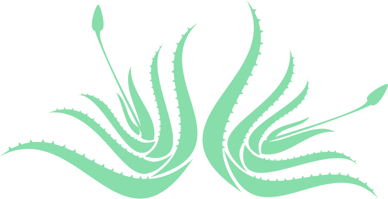 Elegant Aloe Vera Flourish Design PNG